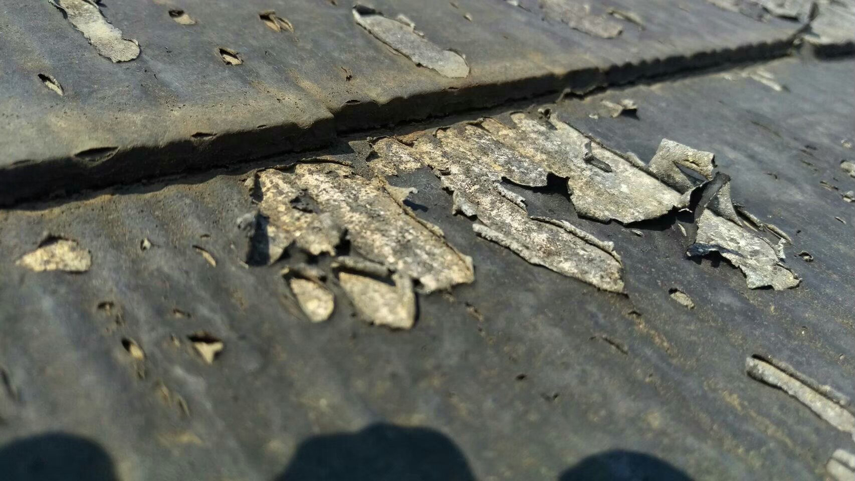 小牧市の屋根塗装・屋根塗り替え: フッ素塗料の費用と相場ガイド